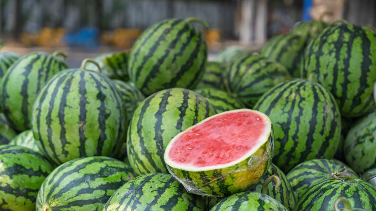 anguria i 5 trucchi per scegliere quella davvero buona e alla giusta maturazione da Gazzetta.it anguria i 5 trucchi per scegliere quella davvero buona e alla giusta maturazione