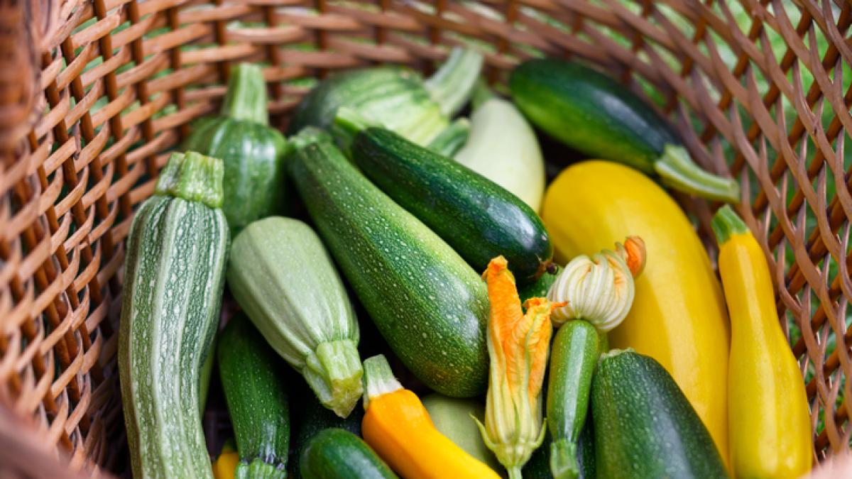 Zucchine o zucchini? Tutte le varietà che (forse) non sapevi esistessero