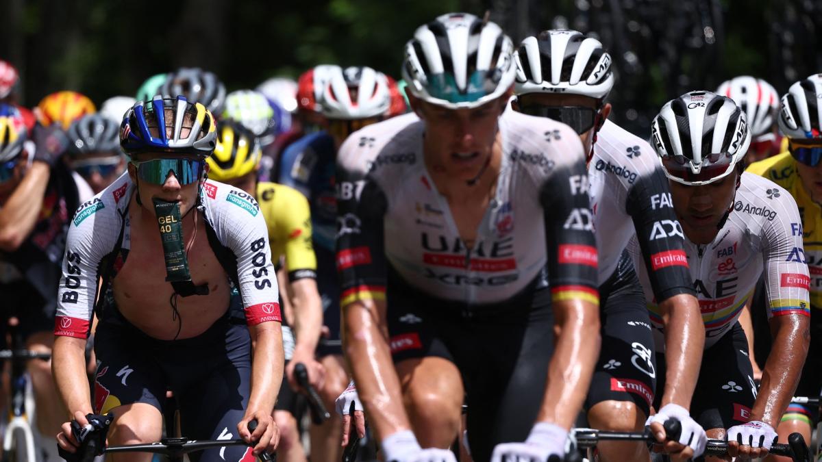 maratona delle dolomiti i consigli del nutrizionista del team uae elettroliti mix di sodio e magnesio da Gazzetta.it maratona delle dolomiti i consigli del nutrizionista del team uae elettroliti mix di sodio e magnesio