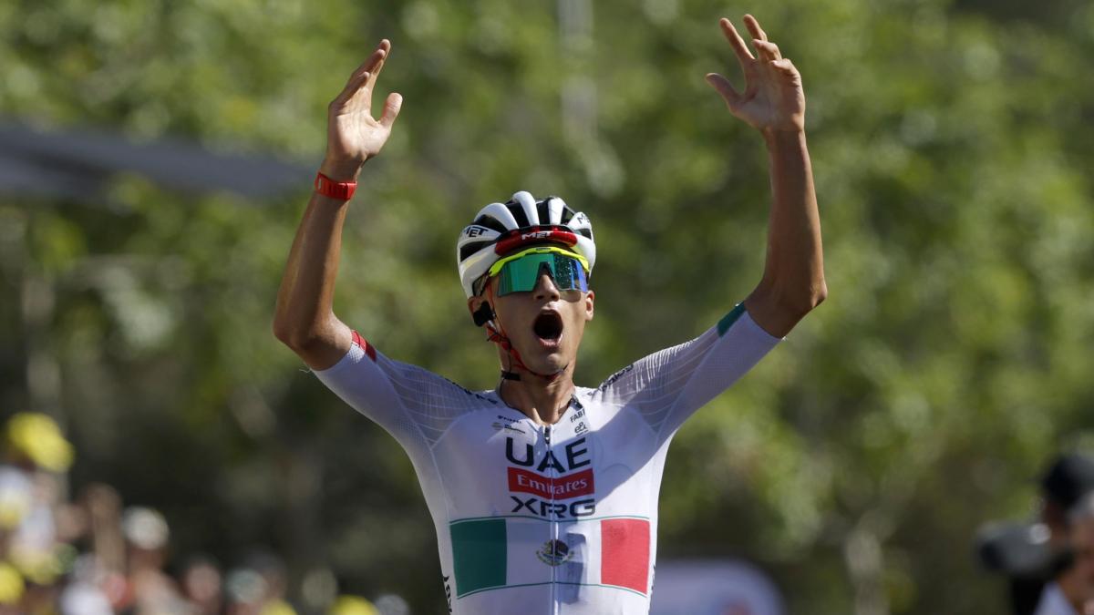 tour de france le pagelle del toro sempre meglio 8 tiberi addio speranze di gloria 4 da Gazzetta.it tour de france le pagelle del toro sempre meglio 8 tiberi addio speranze di gloria 4