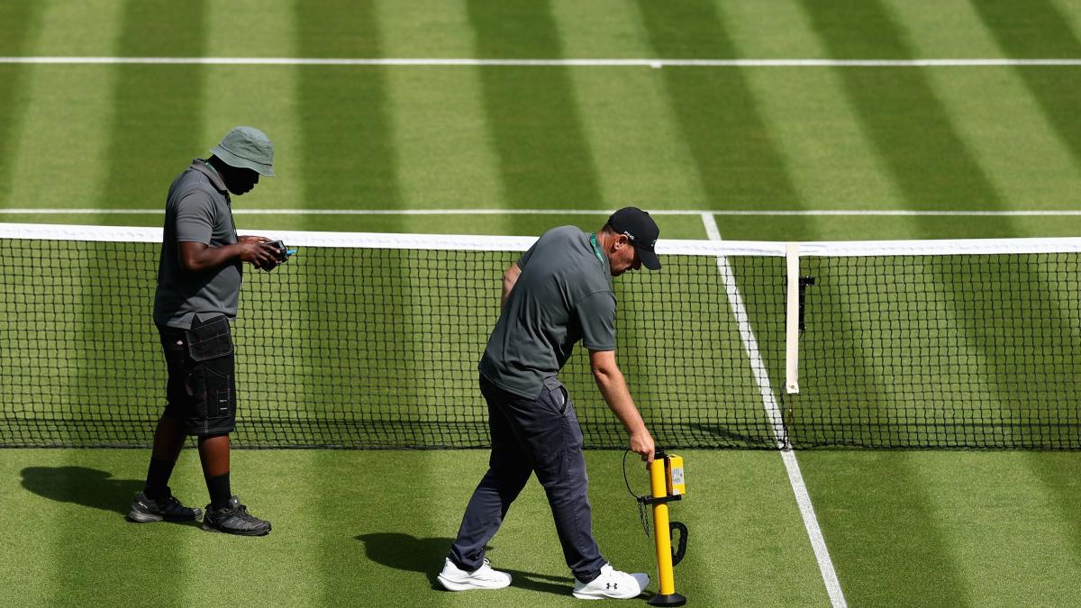 il giardiniere di wimbledon studio clima semi ecco come si fa un campo in erba da Gazzetta.it il giardiniere di wimbledon studio clima semi ecco come si fa un campo in erba