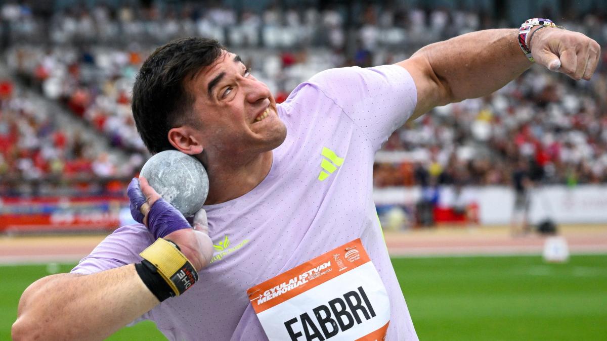 leo fabbri obiettivi di peso voglio l oro e il record europeo da Gazzetta.it leo fabbri obiettivi di peso voglio l oro e il record europeo