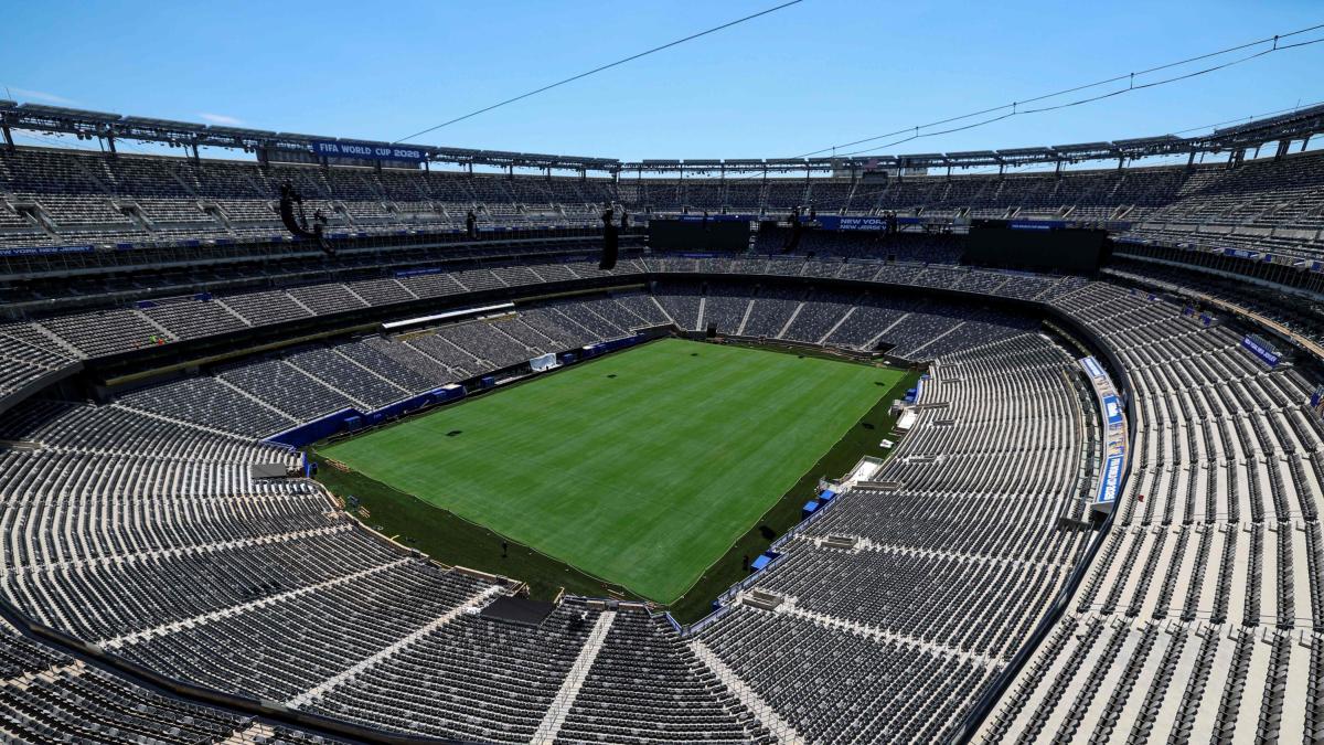 il campo della finale diventa un caso la fifa vende sul sito pezzi di prato ma il new jersey non ci sta da Gazzetta.it il campo della finale diventa un caso la fifa vende sul sito pezzi di prato ma il new jersey non ci sta