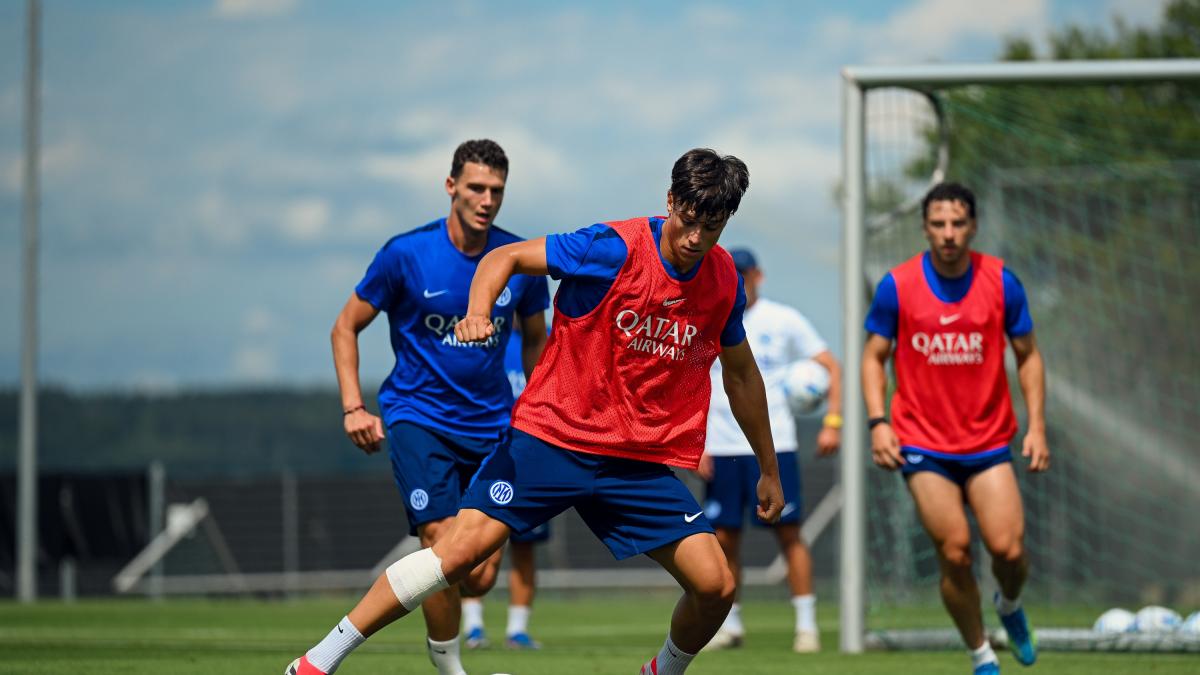 da farronato a lavelli maye e topalovic chi sono i giovani in ritiro con l inter di chivu da Gazzetta.it da farronato a lavelli maye e topalovic chi sono i giovani in ritiro con l inter di chivu