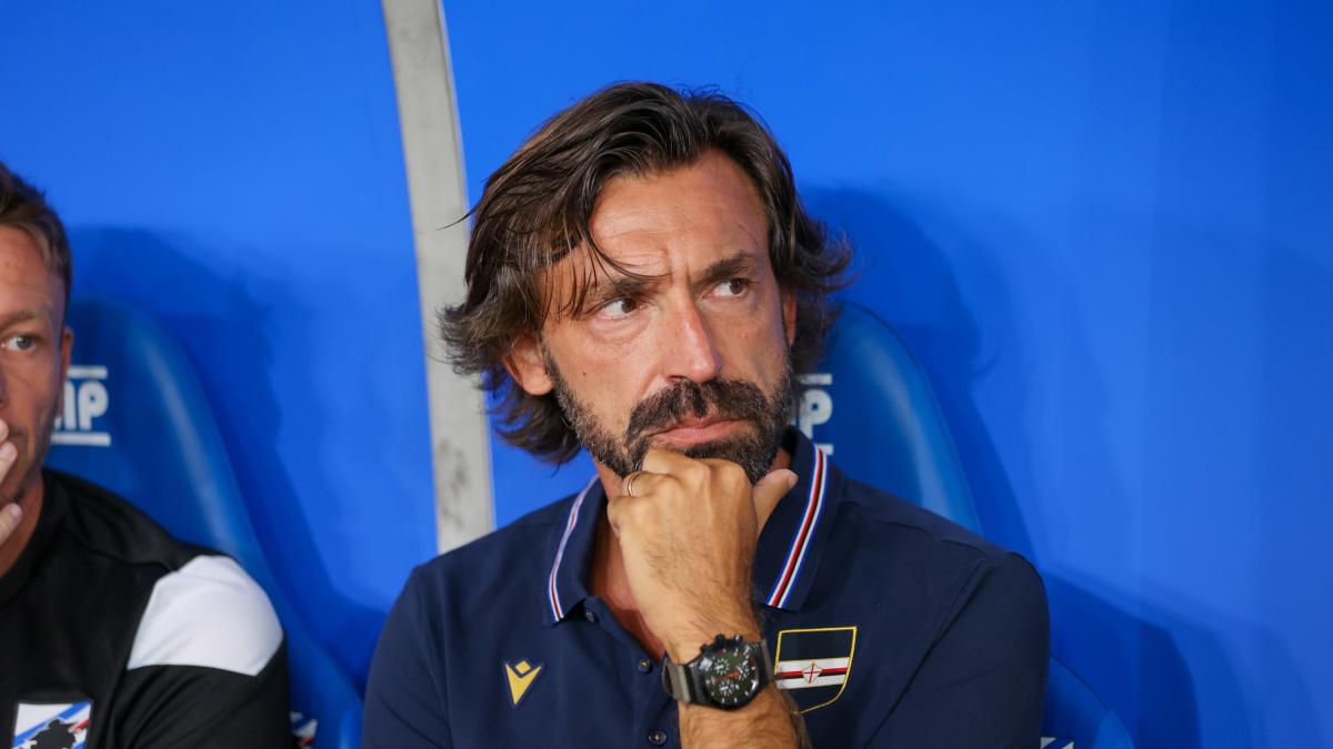 italia il nodo ct entra nella settimana chiave quando potrebbe arrivare la decisione da Gazzetta.it italia il nodo ct entra nella settimana chiave quando potrebbe arrivare la decisione