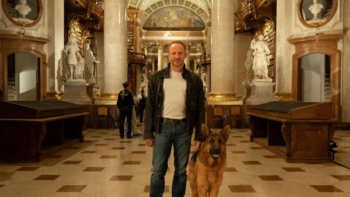 il commissario rex torna in austria la nuova serie dal 23 luglio su rai 2 da Gazzetta.it il commissario rex torna in austria la nuova serie dal 23 luglio su rai 2