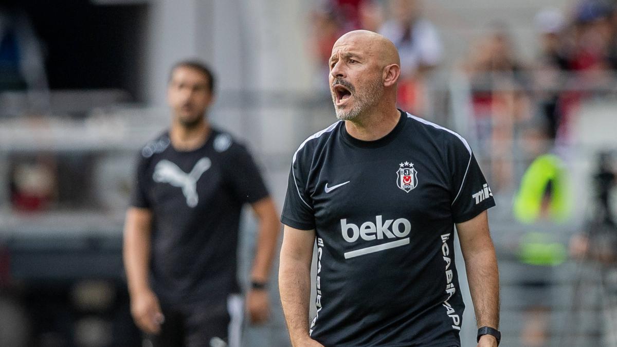 italiano a istanbul vedo i delfini e aspetto salah via da bologna non per il napoli il milan mi cerc242 ma da Gazzetta.it italiano a istanbul vedo i delfini e aspetto salah via da bologna non per il napoli il milan mi cerc242 ma