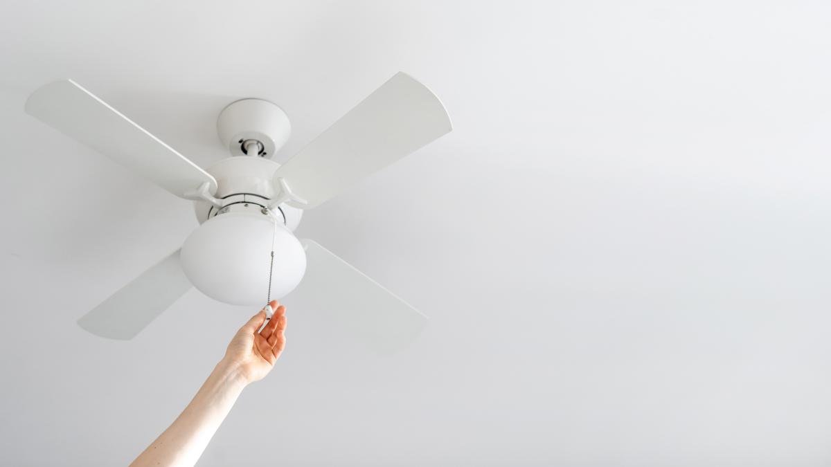 il ventilatore da soffitto pu242 ridurre la diffusione di germi anche in ufficio da Gazzetta.it il ventilatore da soffitto pu242 ridurre la diffusione di germi anche in ufficio