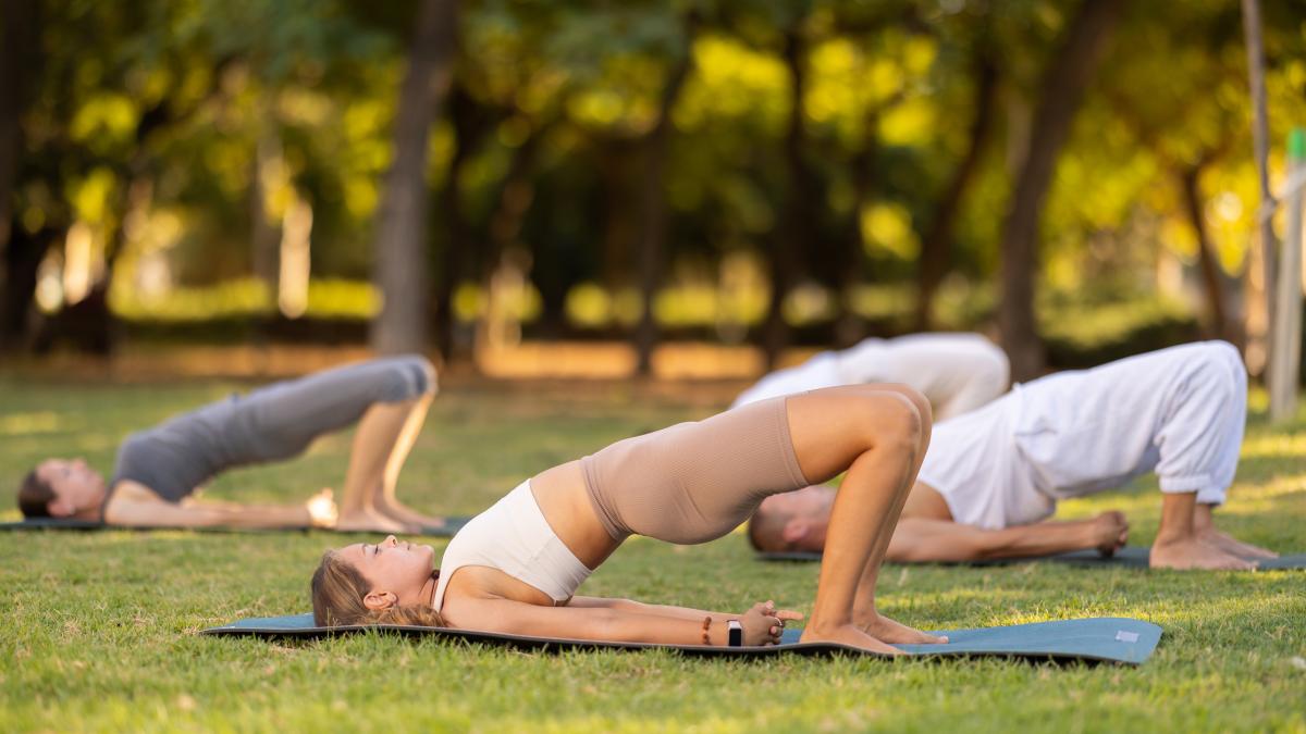 perch233 il bridge pone le basi del tuo workout da Gazzetta.it perch233 il bridge pone le basi del tuo workout