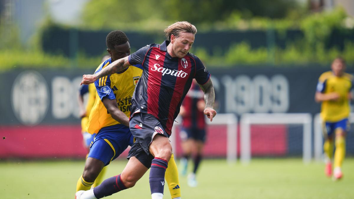 maifredi tedesco ci vuole il gioco bernardeschi leader del bologna da Gazzetta.it maifredi tedesco ci vuole il gioco bernardeschi leader del bologna