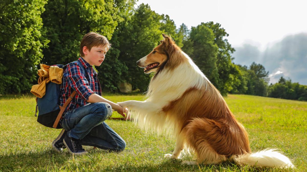 Lassie, torna a casa, il remake del film del 1943 stasera su Rai 1