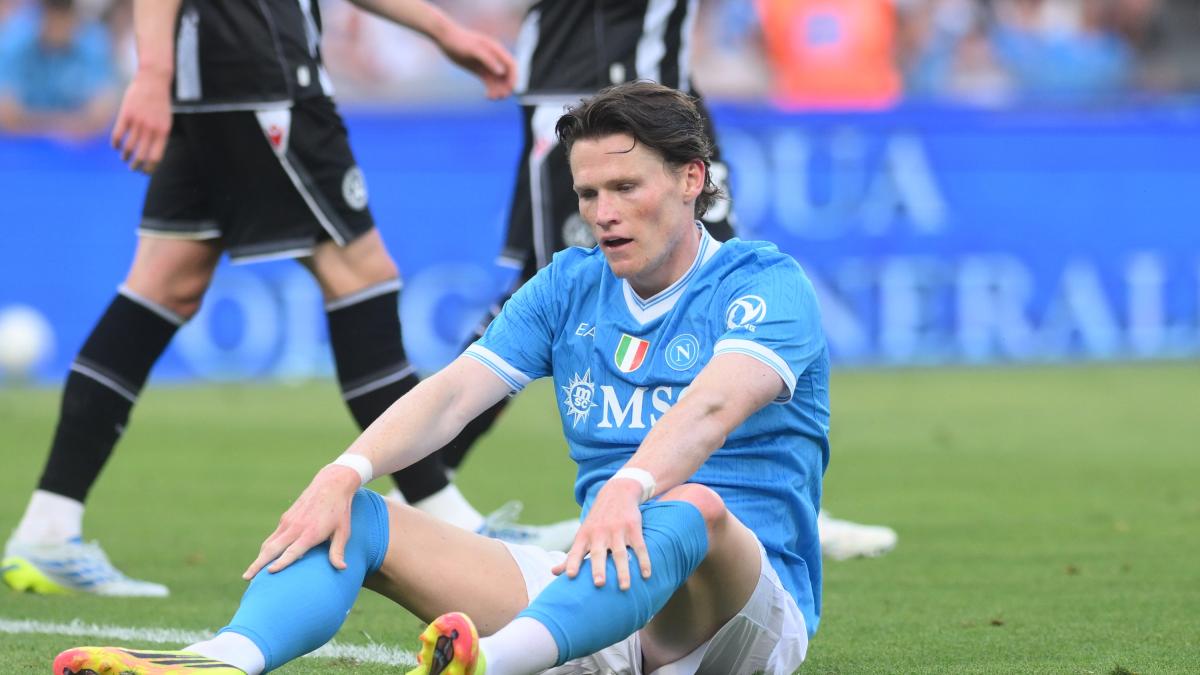 mctominay parla l esperto l aritmia 232 benigna il cuore sano ecco quando potrebbe rientrare da Gazzetta.it mctominay parla l esperto l aritmia 232 benigna il cuore sano ecco quando potrebbe rientrare