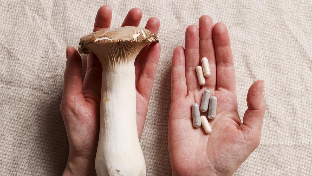 funghi funzionali promettono energia concentrazione e meno stress ma funzionano da Gazzetta.it funghi funzionali promettono energia concentrazione e meno stress ma funzionano