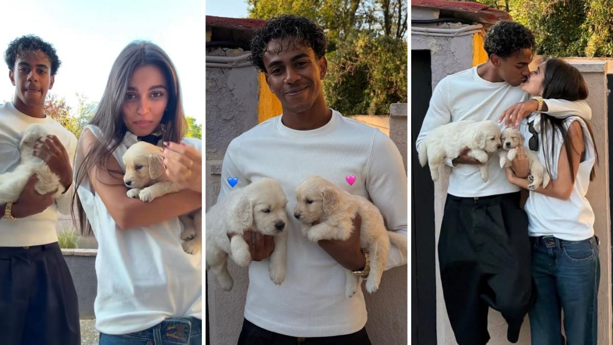 lamine yamal e in233s garc237a allargano la famiglia due golden retriever in arrivo da Gazzetta.it lamine yamal e in233s garc237a allargano la famiglia due golden retriever in arrivo