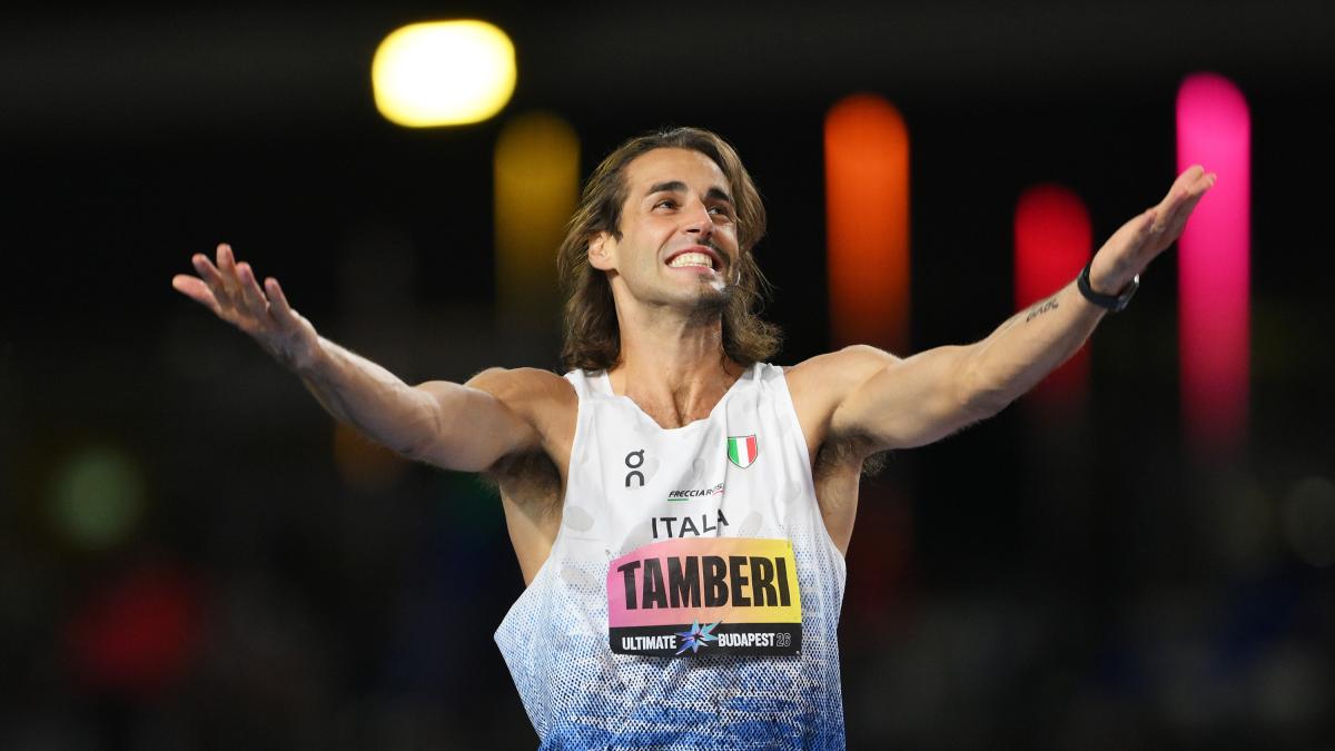 gimbo animale da gara ecco tutte le sue vittorie impossibili da Gazzetta.it gimbo animale da gara ecco tutte le sue vittorie impossibili