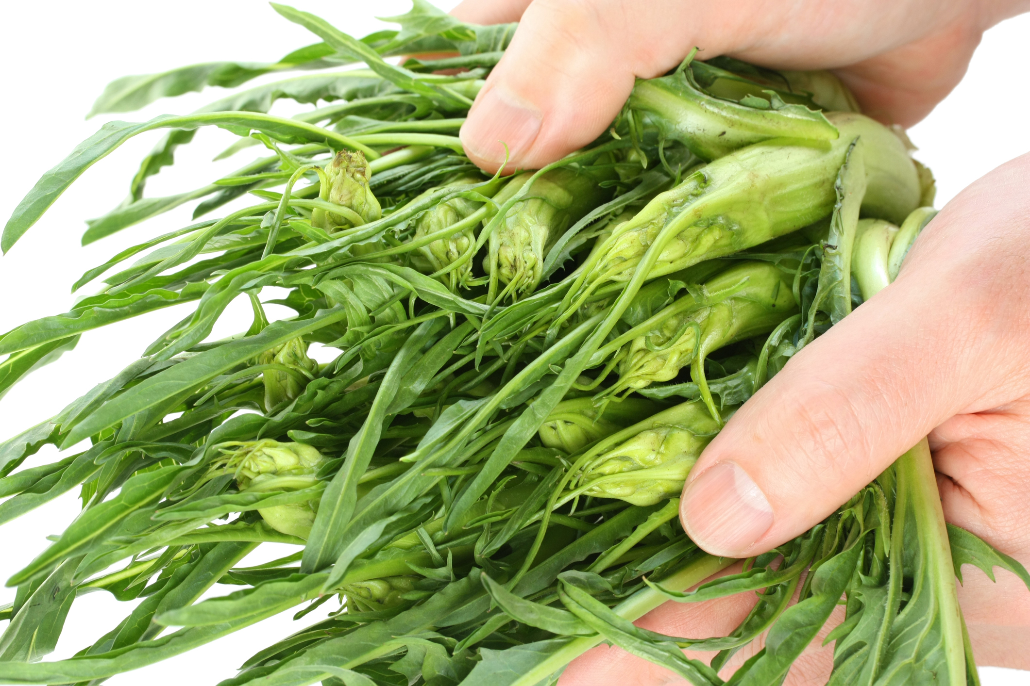 come si puliscono le puntarelle