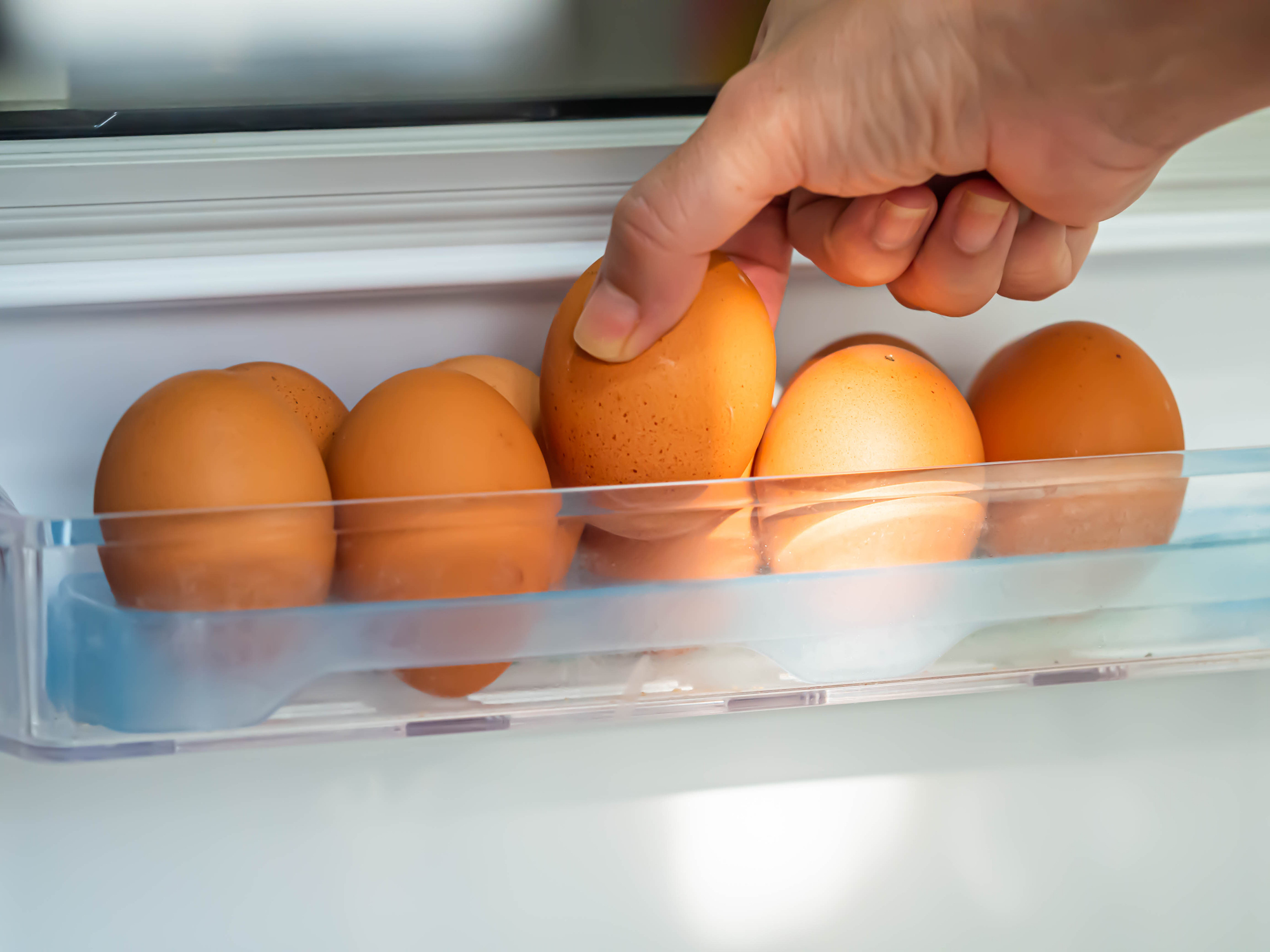 Portauova Universale Per Frigorifero Piebert 2252 - Contenitore Per 10 Uova, Trasparente, 23.5x9.5x2.5 Cm - Foto 3