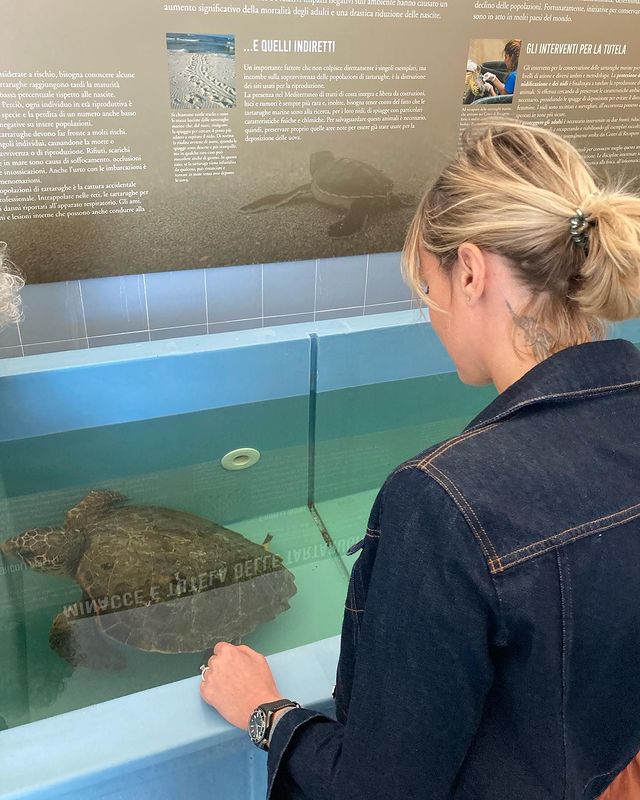 Federica Pellegrini adotta una tartaruga e la libera in mare