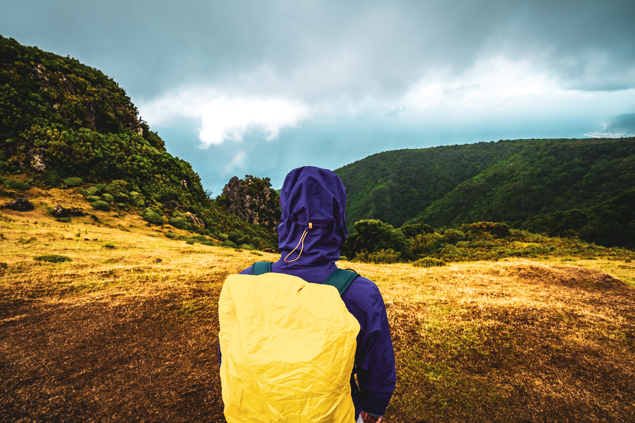Description: Back view of a backpacker woman in rainproof clothing watching the sea from a grassy mountain top. Fanal Forest, Madeira Island, Portugal, Europe.