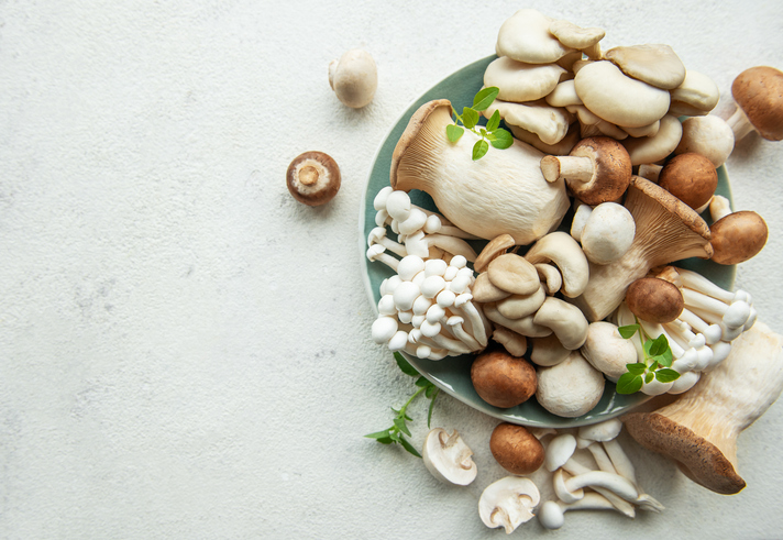 Assortment of various raw mushrooms on gray concrete background