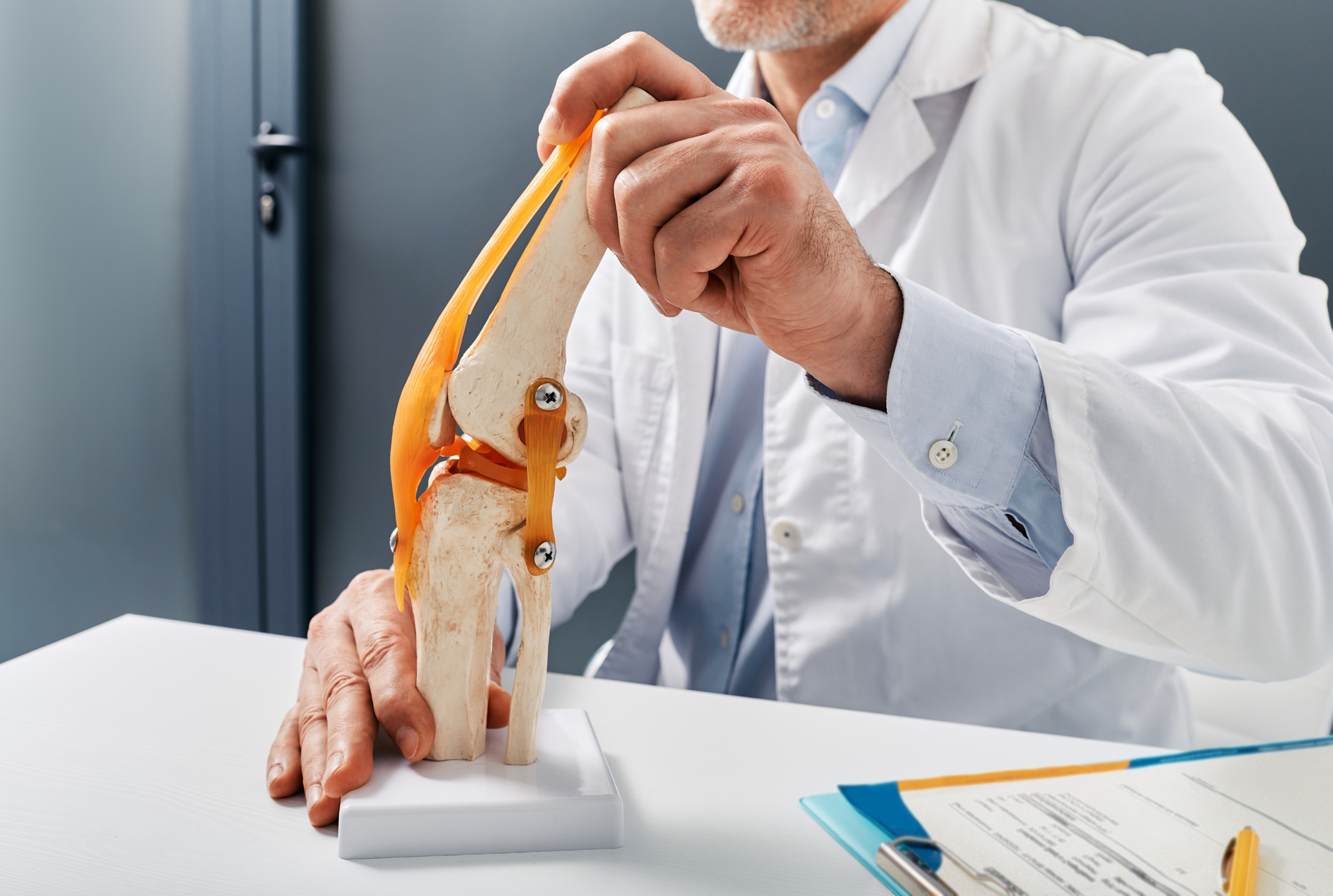 Treatment for knee injuries. Anatomical model of human knee joint on doctor table in orthopedics center