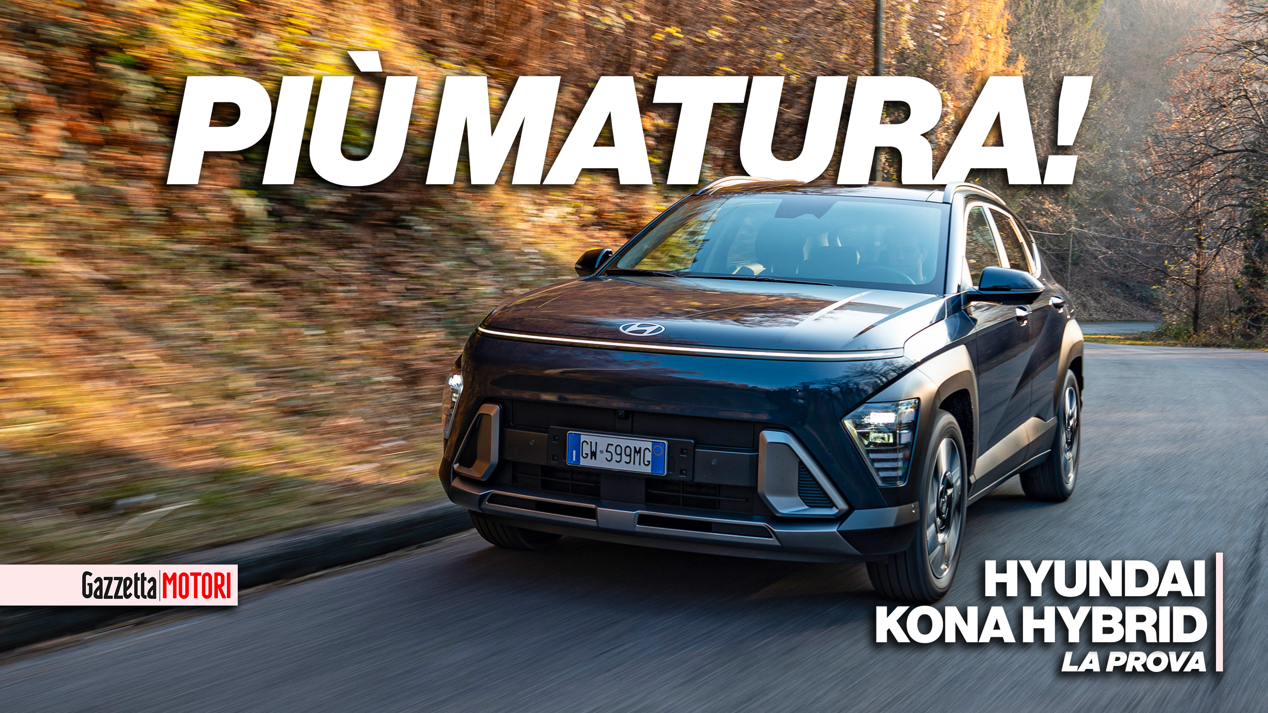 Kit Cablaggio Westfalia A 13 Poli Per Hyundai Kona (06/2017+) – Specifico Per Gancio Traino – Omologazione CE
