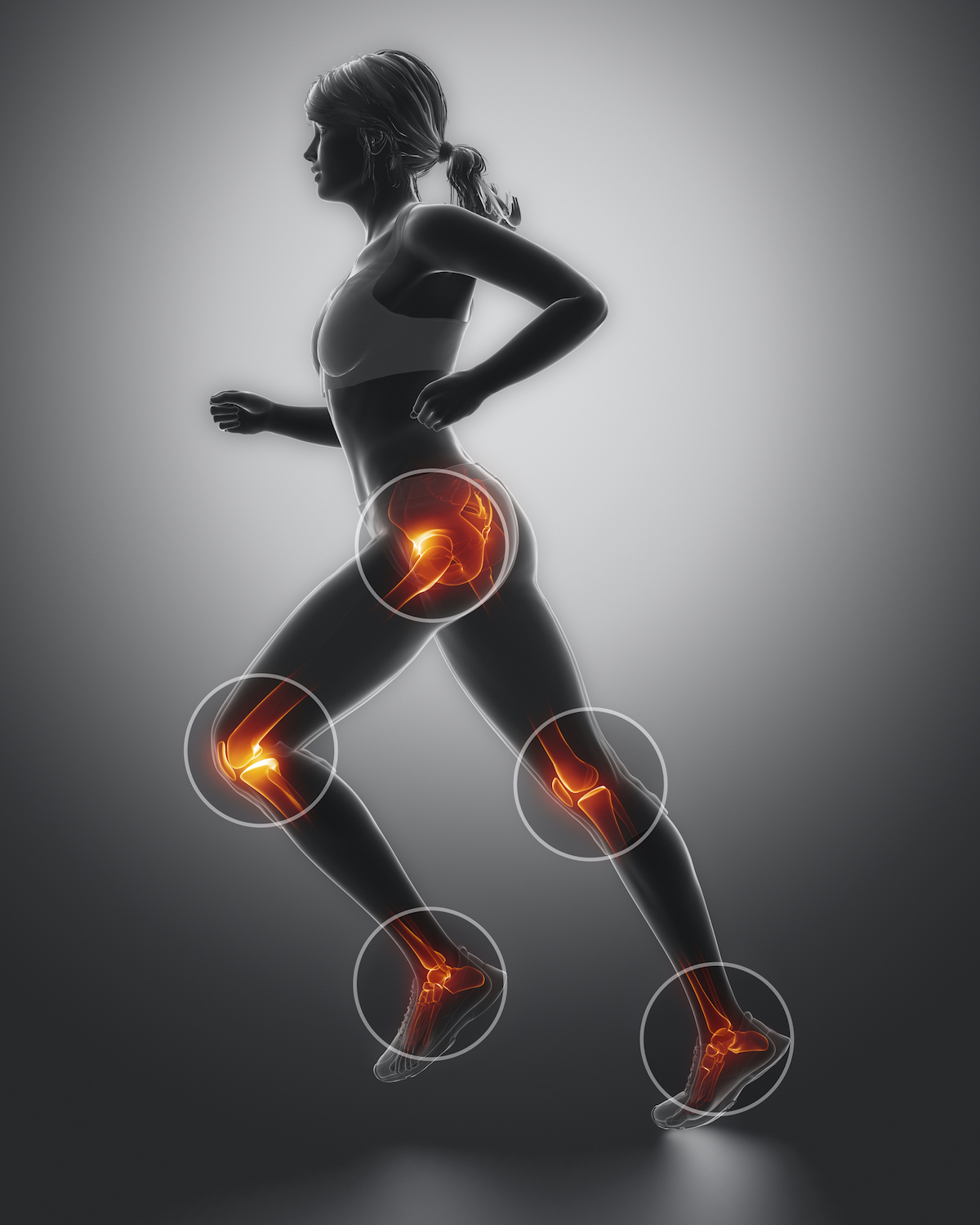 Leg most injured regoins in sport - ankle,hip,knee